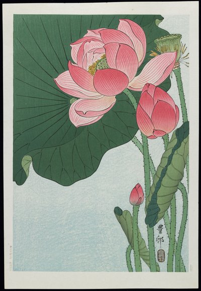 Lotus by Ohara Koson